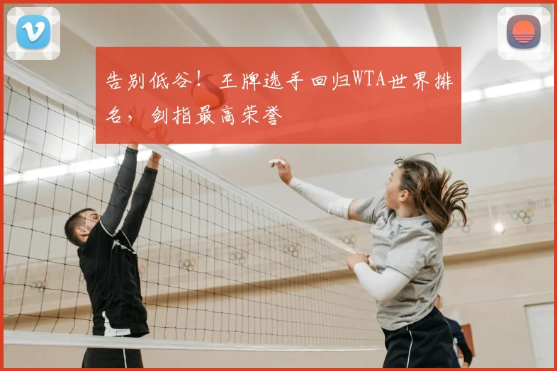 告别低谷！王牌选手回归WTA世界排名，剑指最高荣誉